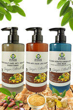 GINGER ANTI-HAIR LOSS KIT AND HAIR NUTRITION  - 500ml / 16.9oz each (Shampoo Anti-Loss, Conditioner, Loss Mask, Growth Oil)